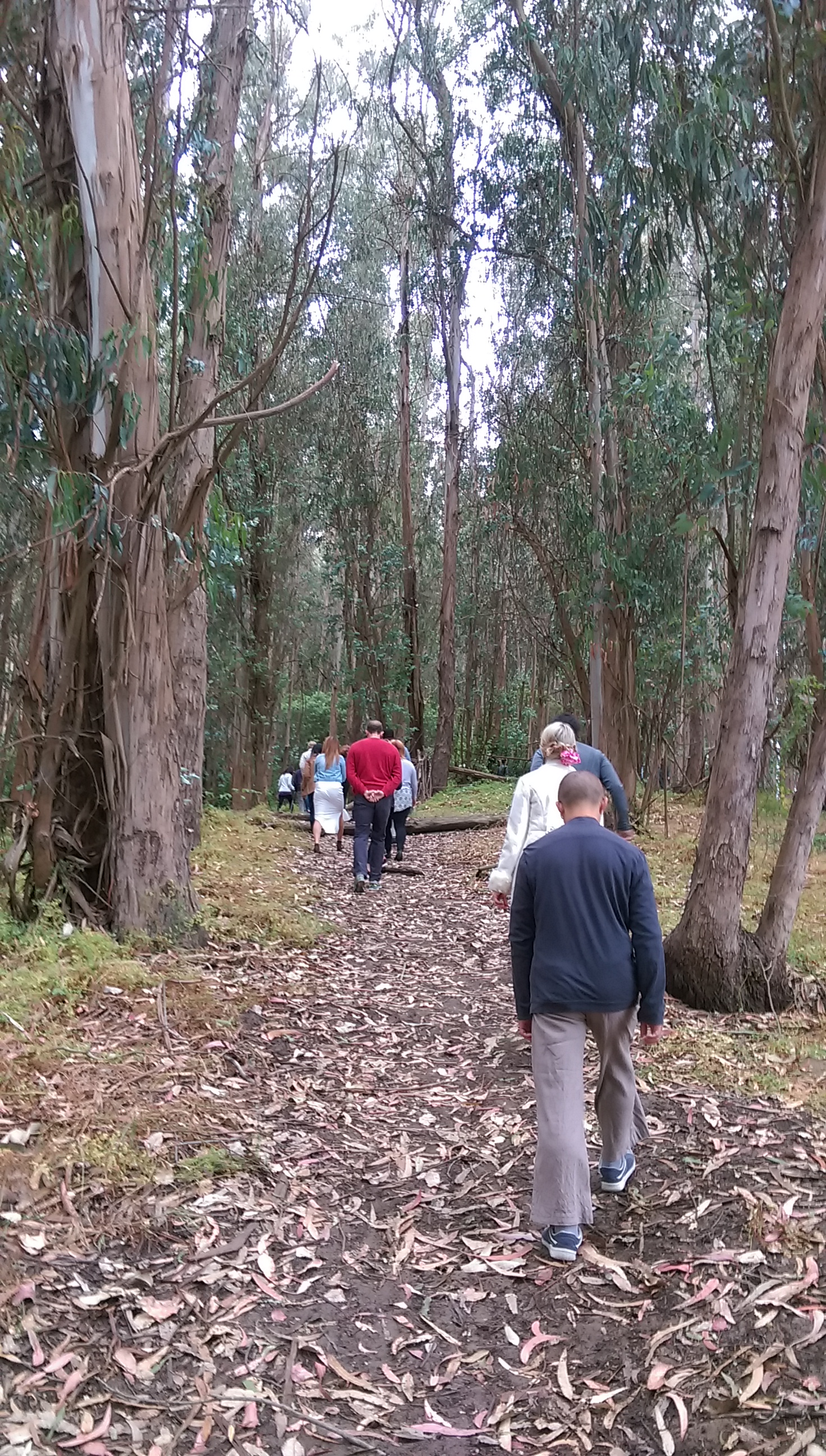 wp-1466136543770 image